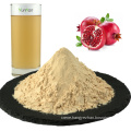 Pomegranate Juice Powder Organic Pomegranate Powder